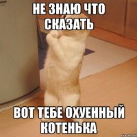 не знаю что сказать вот тебе охуенный котенька