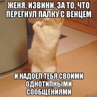 ЖЕНЯ, ИЗВИНИ, ЗА ТО, ЧТО ПЕРЕГНУЛ ПАЛКУ С ВЕНЦЕМ И НАДОЕЛ ТЕБЯ СВОИМИ ОДНОТИПНЫМИ СООБЩЕНИЯМИ