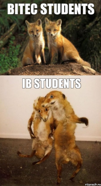 BITEC STUDENTS IB STUDENTS