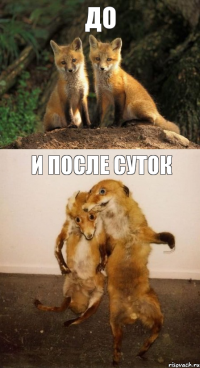 до и после суток