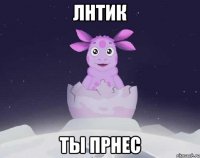 лнтик ты прнес