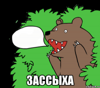  Зассыха