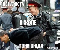 Где наркота В жопе гони сюда