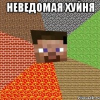 неведомая хуйня 