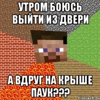 утром боюсь выйти из двери А ВДРУГ НА КРЫШЕ ПАУК???