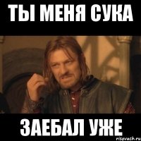 Ты меня сука Заебал уже