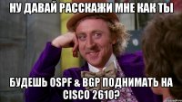 ну давай расскажи мне как ты будешь ospf & bgp поднимать на cisco 2610?