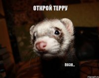 Открой терру позя...