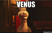 venus 