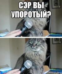 сэр вы упоротый? 