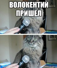 Волокентий пришел 