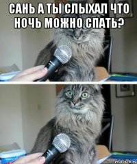 Сань а ты слыхал что ночь можно спать? 