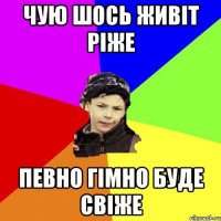 чую шось живіт ріже певно гімно буде свіже