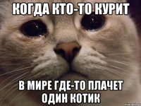 когда кто-то курит в мире где-то плачет один котик