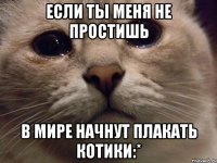 если ты меня не простишь в мире начнут плакать котики:*