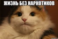 ЖИЗНЬ БЕЗ НАРКОТИКОВ 