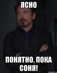 ясно понятно, пока Соня!