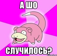 а шо случилось?