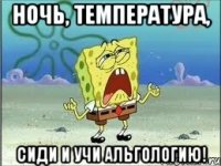 ночь, температура, сиди и учи альгологию!