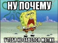 ну почему у тебя не завелся мотик