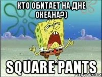 кто обитает на дне океана?) square pants