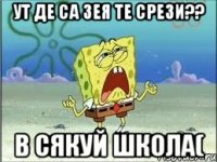 ут де са зея те срези?? в сякуй школа(