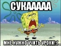 сукааааа мне нужно учить уроки!:(