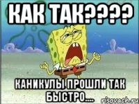 Как так???? Каникулы прошли так быстро....