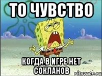 то чувство когда в игре нет сокланов