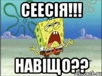 СЕЕСІЯ!!! НАВІЩО??