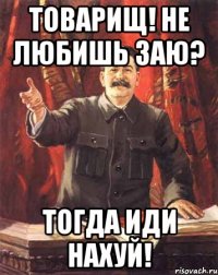 Товарищ! не любишь Заю? тогда иди нахуй!