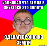 услышал что земля в skyblock это золото сделал броню из земли