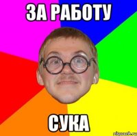 за работу сука