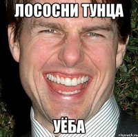 ЛОСОСНИ ТУНЦА УЁБА