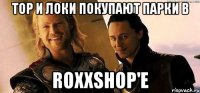 тор и локи покупают парки в roxxshop'e