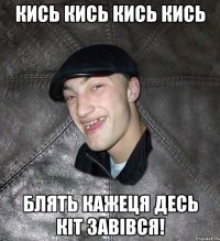 Кись кись кись кись блять кажеця десь кіт завівся!