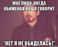 мое лицо, когда обиженая коша говорит "нет я не обиделась!"