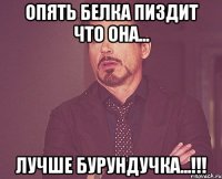 Опять белка пиздит что она... лучше бурундучка...!!!