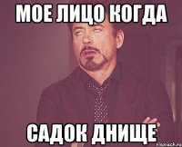 Мое лицо когда Садок днище