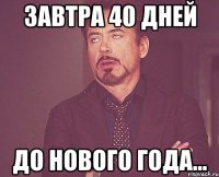 Завтра 40 дней до Нового Года...