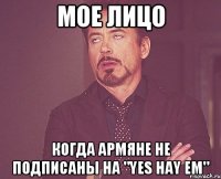 мое лицо когда армяне не подписаны на "Yes Hay Em"