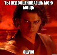 ты недооцениваешь мою мощь сцуко