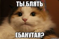 Ты блять ебанутая?