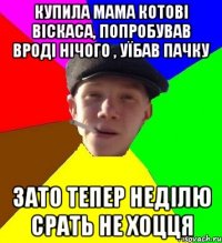 купила мама котові віскаса, попробував вроді нічого , уїбав пачку зато тепер неділю срать не хоцця