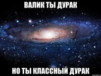 валик ты дурак но ты классный дурак