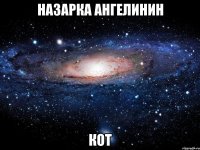 Назарка Ангелинин кот