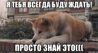 Я тебя всегда буду ждать! Просто знай это(((