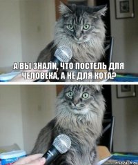 А вы знали, что постель для человека, а не для кота?