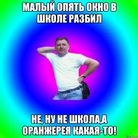 Малый опять окно в школе разбил Не, ну не школа,а оранжерея какая-то!