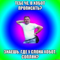 тебе че, в хобот прописать? знаешь, где у слона хобот, сопляк?